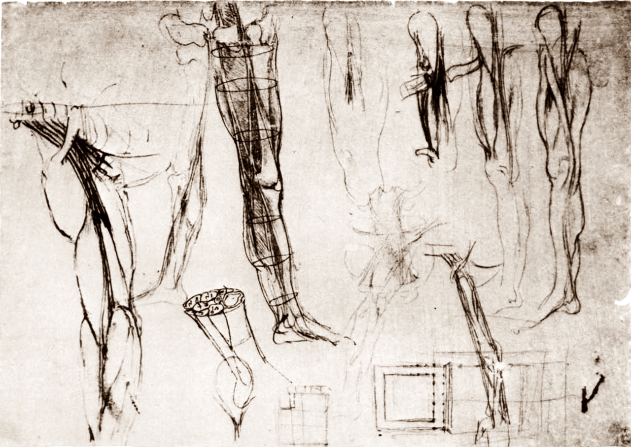 Leonardo+da+Vinci-1452-1519 (748).jpg